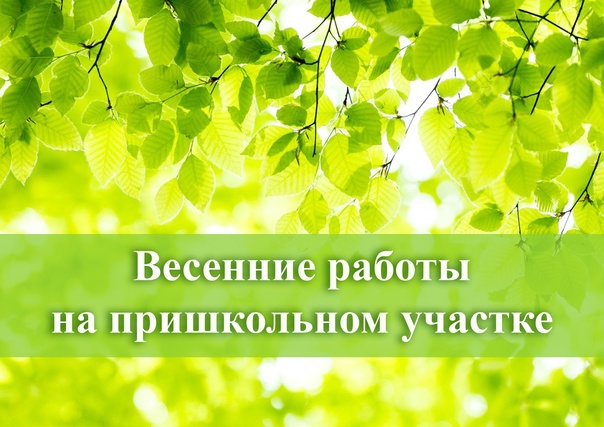 ВЕСЕННИЕ РАБОТЫ НА ПРИШКОЛЬНОМ УЧАСТКЕ.