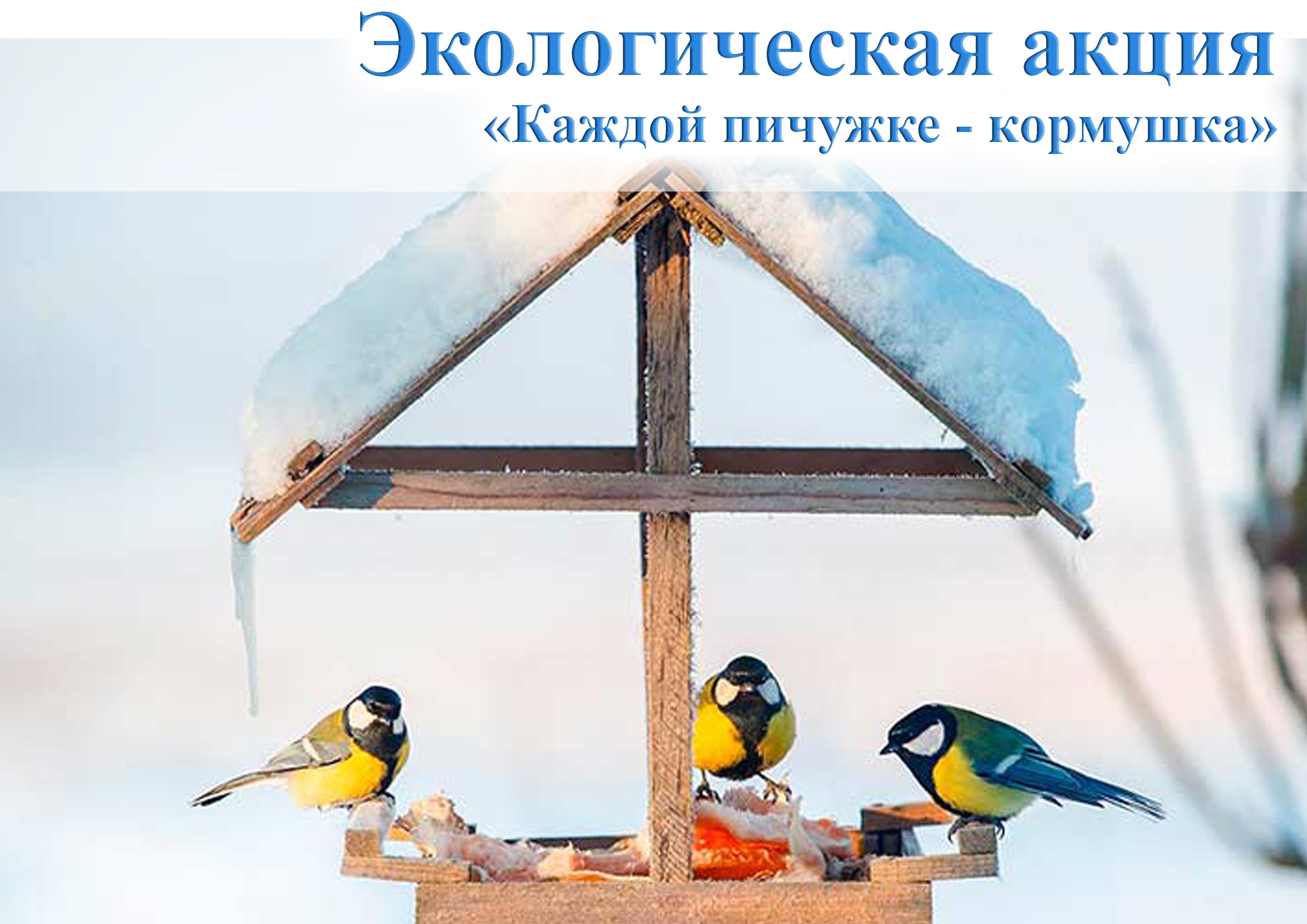 КАЖДОЙ ПИЧУЖКЕ - КОРМУШКА.