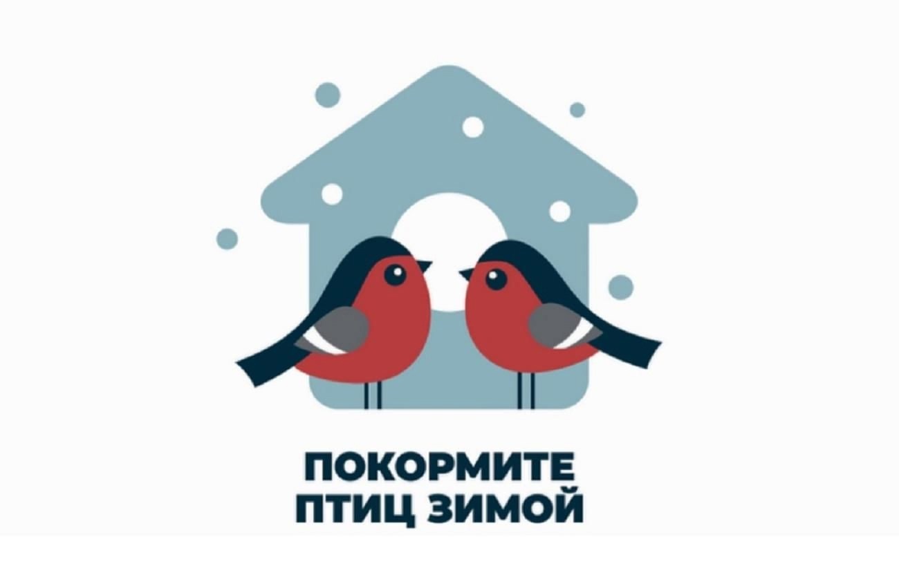 ПОКОРМИТЕ ПТИЦ ЗИМОЙ.