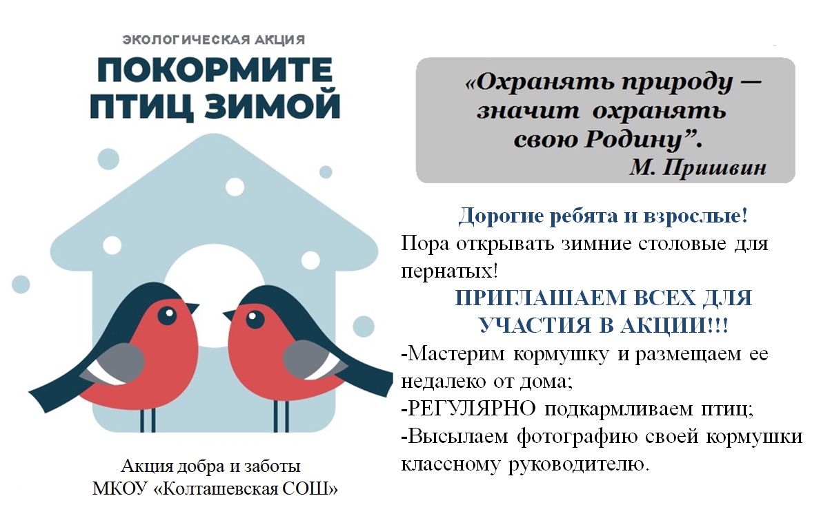Экологическая акция &amp;quot;Покормите птиц зимой&amp;quot;.