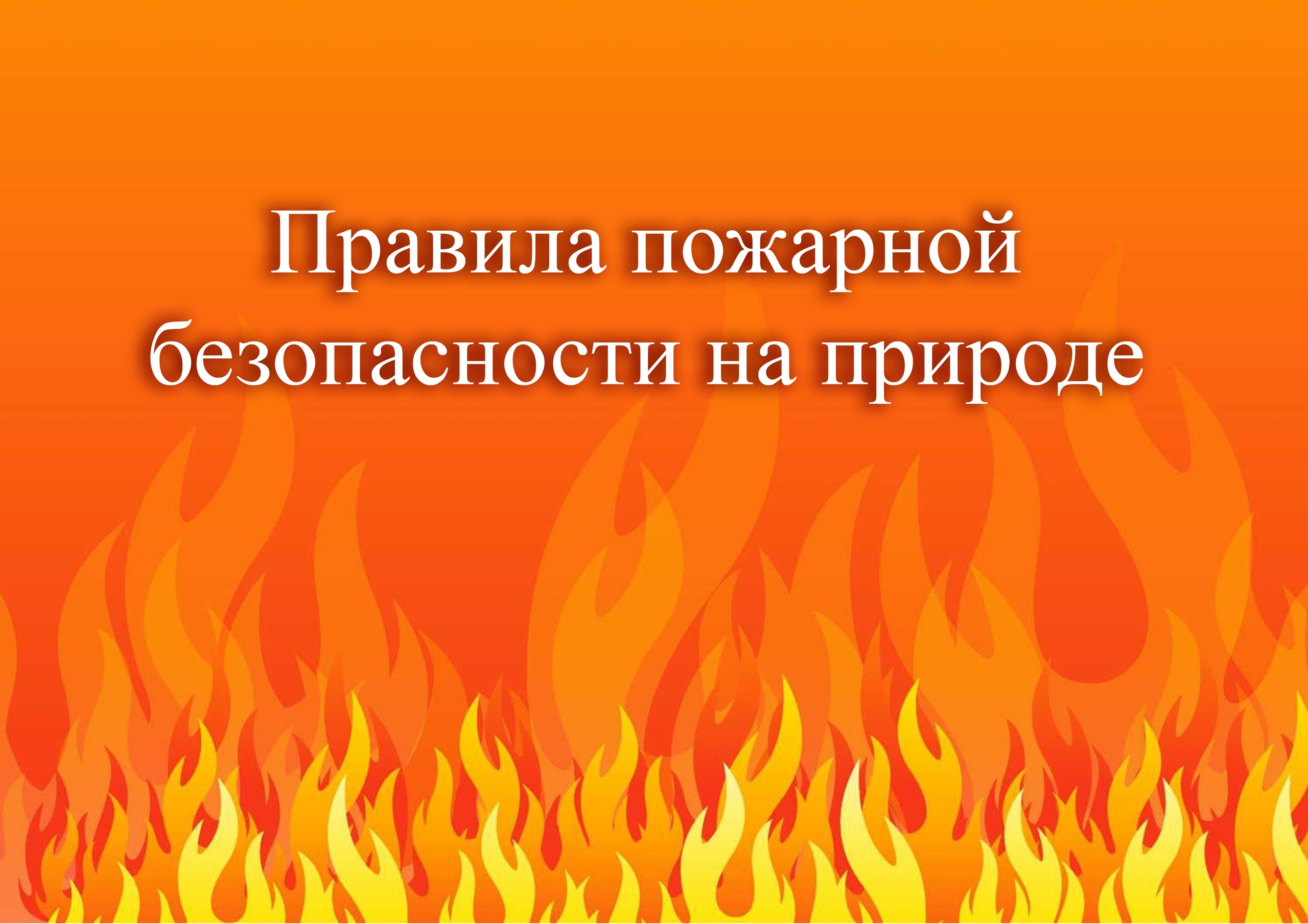 ПРАВИЛА ПОЖАРНОЙ БЕЗОПАСНОСТИ НА ПРИРОДЕ.