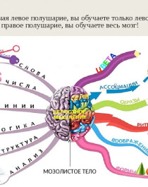 Использование нейроигр на уроках русского языка и литературного чтения.